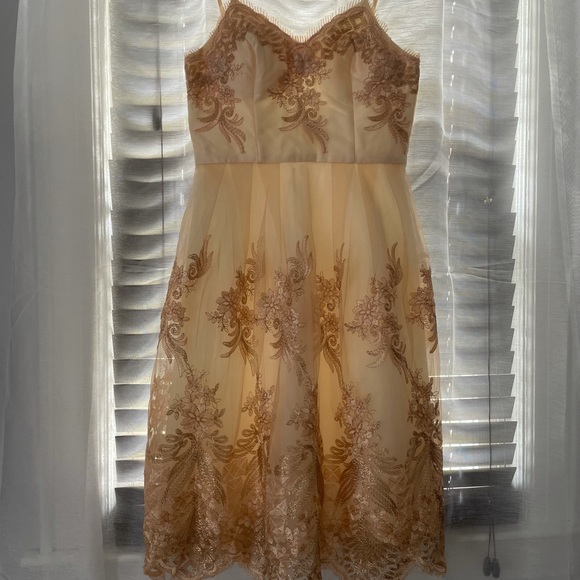 chi chi london gold dress BRAND NEW CHI CHI LONDON IVORY & PALE GOLD LACE OVERLAY FIT & FLARE DR –  Whispers Dress Agency main image 1